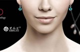 艾尔兰珠宝国际集团（香港）有限公司