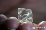 ARGYLE钻石矿生产了一颗2884克拉的钻石原石