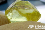 英国钻石开采商发现一颗重达54ct的黄钻原石